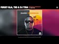 Funky Qla, TNS & DJ Tira -  Izingoma Ezimnandi (Official Audio)