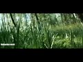 Kadhal Roja Song Roja Movie AR Rahman Sir Music