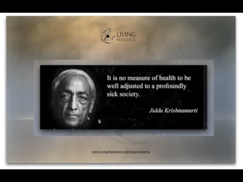 The Stages of Awareness: Consciously Facing Collapse and Predicament