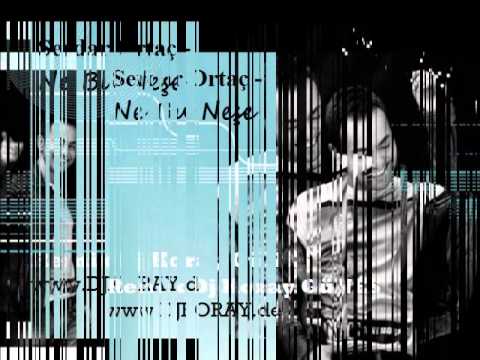 DJ KORAY GüNES Vs Serdar Ortac - ne bu nese (remix 12) www.DJKORAY.de