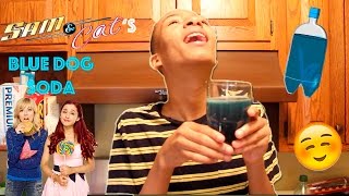 MAKING SAM & CAT'S BLUE DOG SODA!