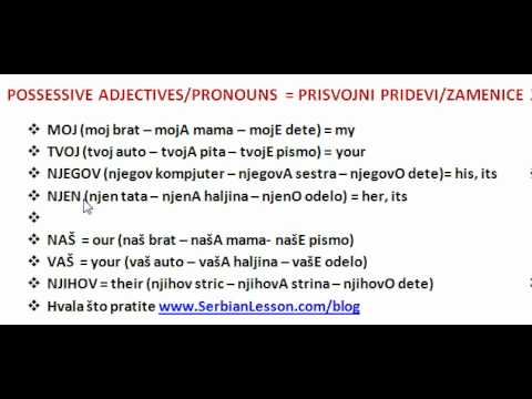 Serbian Lesson - Possessive adjectives/pronouns