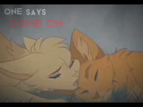 Warrior Cats / Firestar's Death