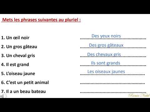 Exercices Le singulier et Le pluriel