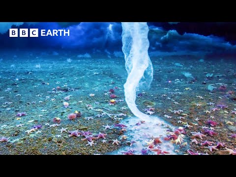 🔴 LIVE: Planet Earth Through The Seasons | BBC Earth