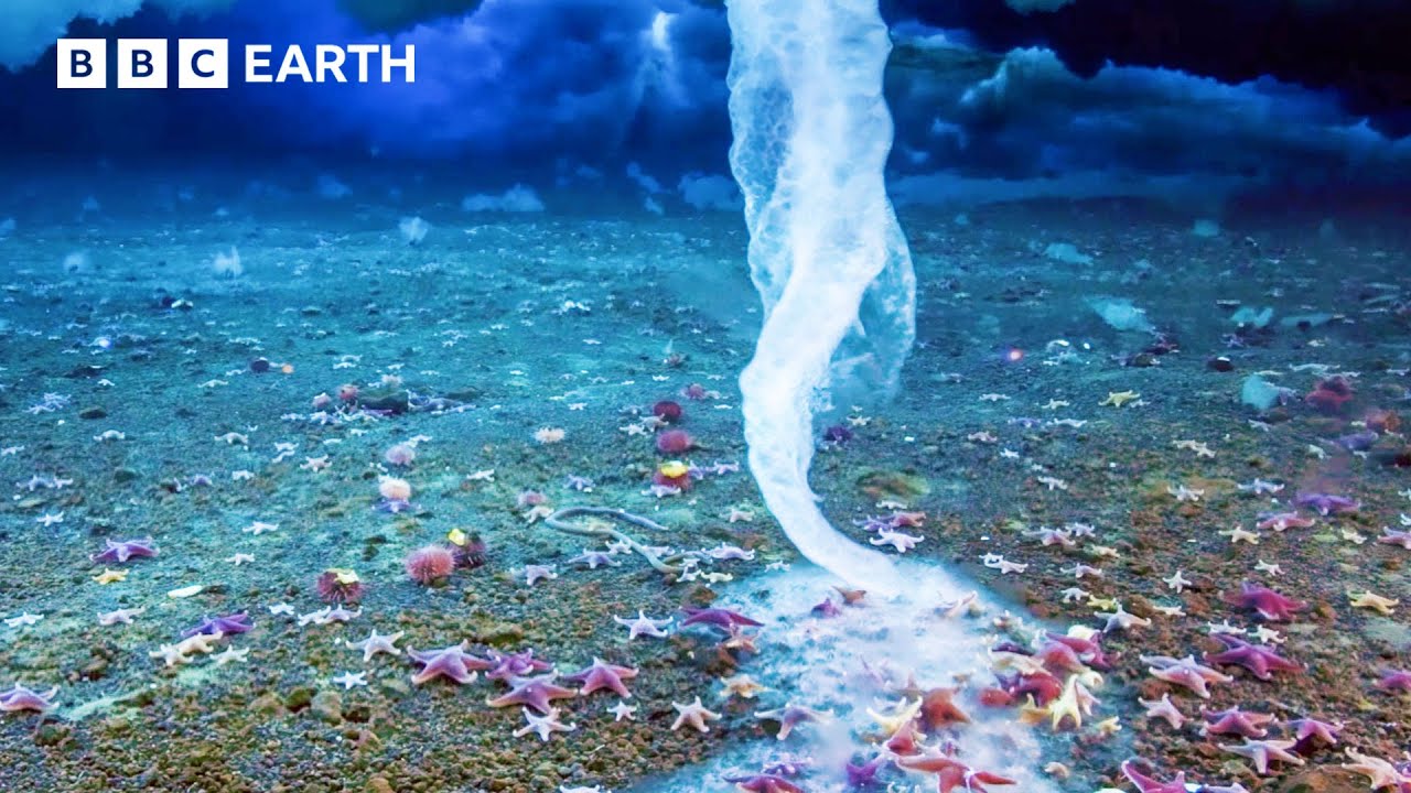 🔴 LIVE: Planet Earth Through The Seasons | BBC Earth