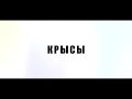 трэш-шапито КАЧ feat. Чика из Перми - Крысы (05.2013) 