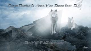 Angel Van Stone &. David Guetta feat. Sia - She Wolf (DubStep Version)