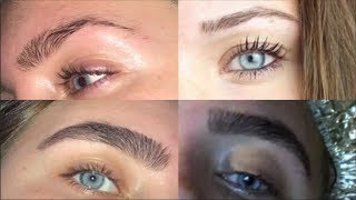 HOW I GREW MY EYEBROWS BACK IN LESS THAN 6 MONTHS!! || Isabel Moriarty