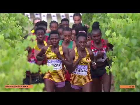 CAMPEONATO MUNDIAL DE CROSS COUNTRY BATHURST AUSTRALIA 2023 . DAMAS .