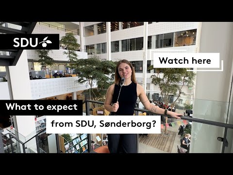 What can you expect from SDU Sønderbrog?