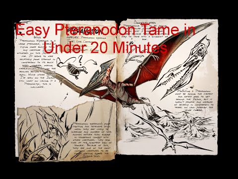 Ark how to tame a Pteranodon in under 20 minutes (2020-2021)