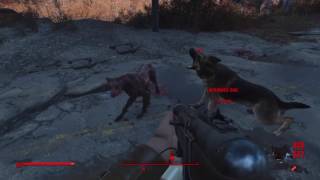 Fallout 4 dogfight