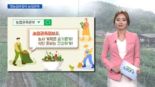 [농업관측] 10월 엽근채소, 양념채소