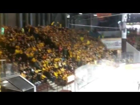 9.1.2016 KooKoo - SaiPa, SaiPafanit #junallabetoniin