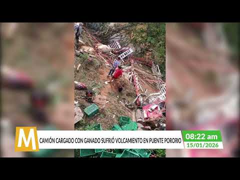 Camión cargado con ganado se volcó en Puente Pororio, Meta