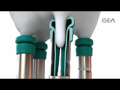 IQ_Milking Unit Animation.mpg