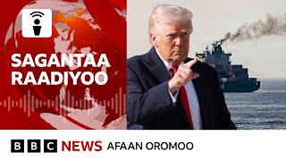 Download lagu Sagantaa raadiyoo har'aatti dhiyaadhaa mp3