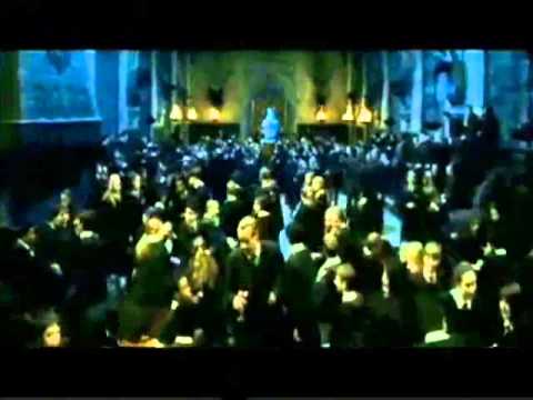 Harry Potter und der Plastik-Pokal - Coldmirror HP Synchro