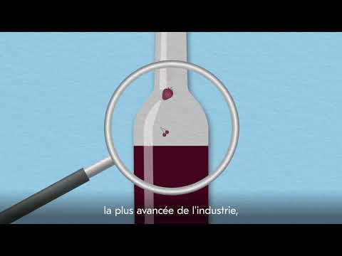Vinventions présente : Solutions pour gérer la durée de vie des vins