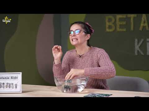 Povestea șervețelului | Betania Kids