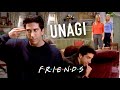 Unagi Friends