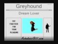 Greyhound - Dream Lover 