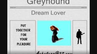 Greyhound - Dream Lover