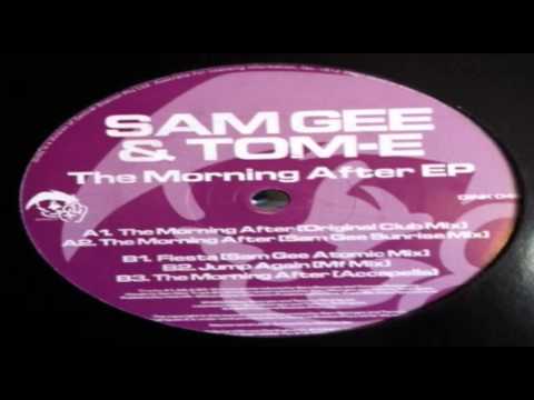Sam Gee & Tom-E ‎- The Morning After [2001]