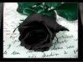 Madrugada Majesty Wmv