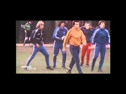 Darmstadt 98 - Tradition & Geschichte der Lilien