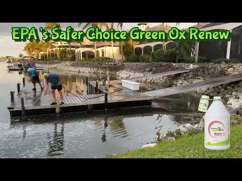 GreenOx cleaning a dock