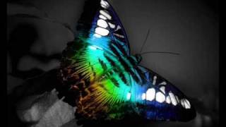 So Much To Say - Matthew Puckett (Theme for hopkins)