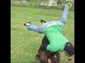 TOP MOMENTS HORSES Vs MAN KICKING PEOPLE ANGRY HORSES COMPILATION