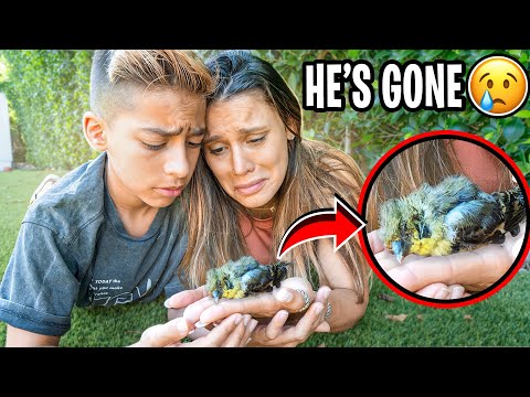 WE COULDN'T SAVE HIS LIFE.. (HE'S GONE) 💔 | The Royalty Family