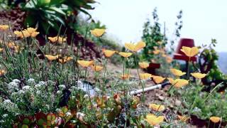 Dave Smallen - yes, I know we're blessed...