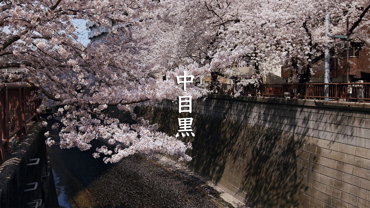 Sakura Bridge, Nakameguro