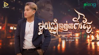SeyHa-មួយឆ្នាំចាញ់គេពីរថ្ងៃ / សីហា (Official Audio)