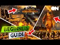 Total War Warhammer 3: A Beginner's Guide to Campaign, Factions, Tactics & More!
