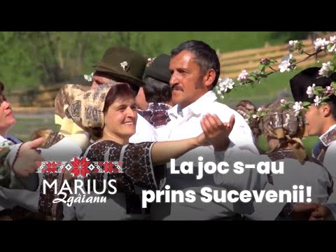 Marius Zgâianu - La joc s-au prins Sucevenii!