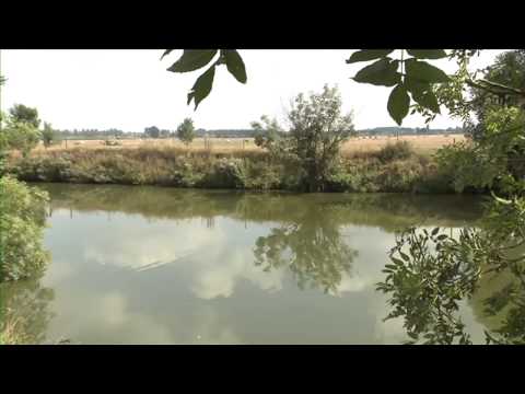 Unterrichtsmaterial: Der Erste Weltkrieg - Käthe Kollwitz - Filme für den Geschichtsunterricht