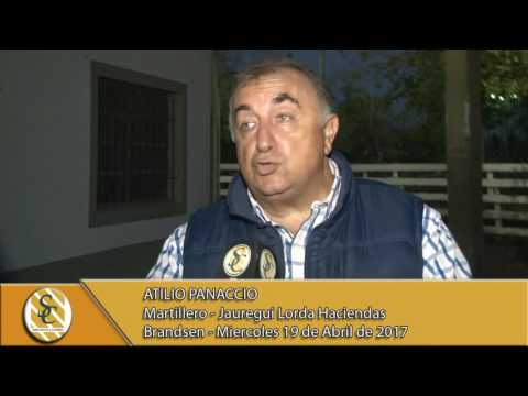 19-04-17 Nota Atilio Panaccio - Jauregui Lorda - Brandsen.