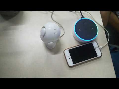 Use Alexa to arm and disarm WP6