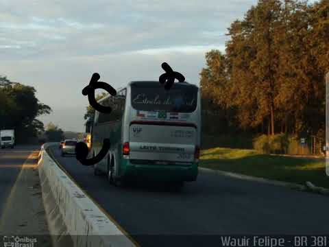 Música Alone Pituchinha Perpétuo Socorro Belo Oriente Minas Gerais