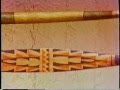 sinew-backed bow (also arrow shafts) p1