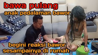 Download lagu ALHAMDULILLAH AKHIRNYA BAWOR BISA DI BAWA PULANG mp3