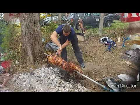 Prasićijada Tišča 2019