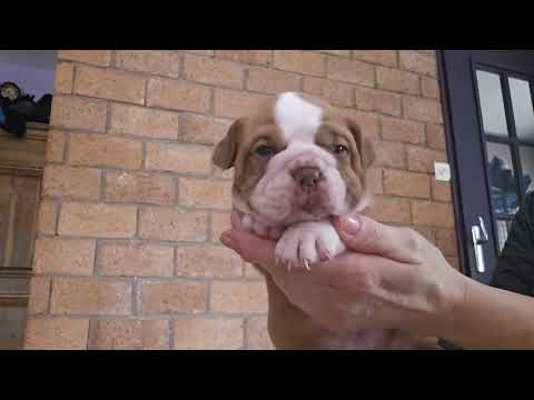 435c1d45 0473 42d8 a2fe 646216e7d3c4