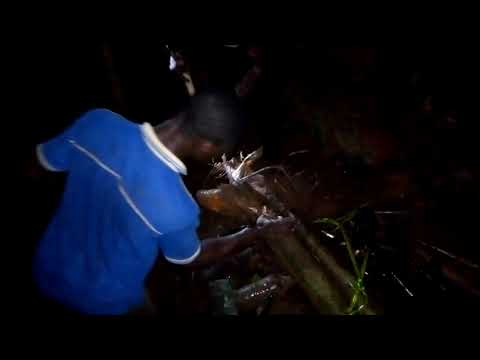 SOLUTION GROUND PROPHET HILLARY Obele Nwa Jesus olu ezi n' ulo