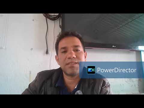 Vowels and consonants